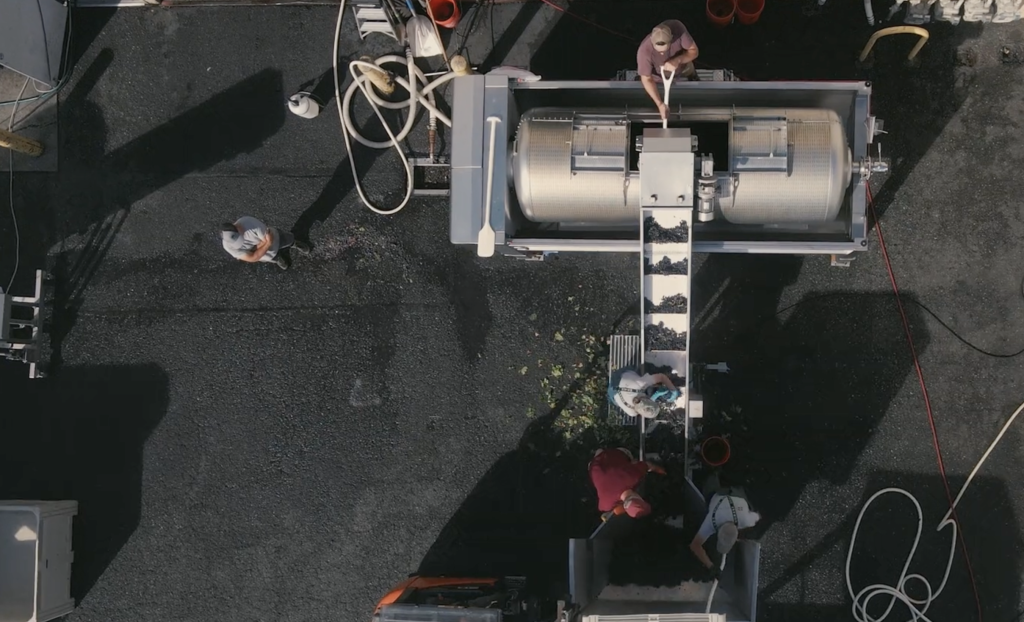 Aerial view of a winemaking process in action, showing workers sorting grapes on a conveyor belt that feeds into a large industrial machine. The scene includes hoses, bins, and other winemaking equipment arranged around the workspace. The workers are focused on processing the grapes as part of the crush season, transforming the harvest into wine.